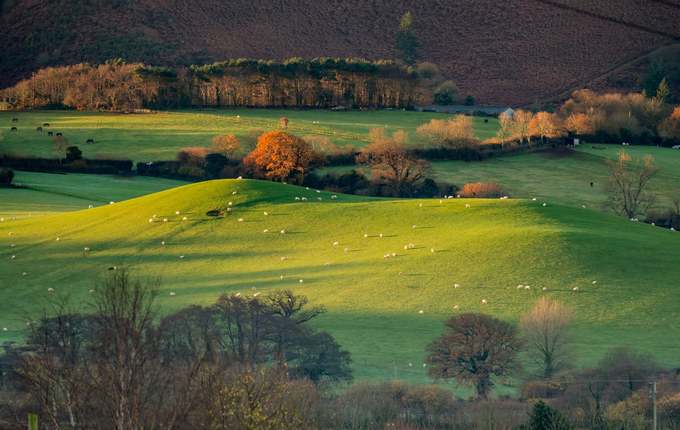 Tác giả Shaun Davey chụp quang cảnh miền quê gần Holt thuộc công viên Exmoor. Vườn quốc gia này được thành lập tháng 10/1954, có diện tích 693 km2.