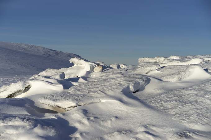 Tác giả Jon Roberts chụp chú thỏ trên nền băng tuyết trắng xóa tại khu vực núi Cairn Lochan thuộc công viên Cairngorms, Scotland. Vườn quốc gia lớn nhất nước Anh (4.530 km2) được thành lập năm 2003, gồm các ngọn núi và đồi thấp của dãy Cairngorms.