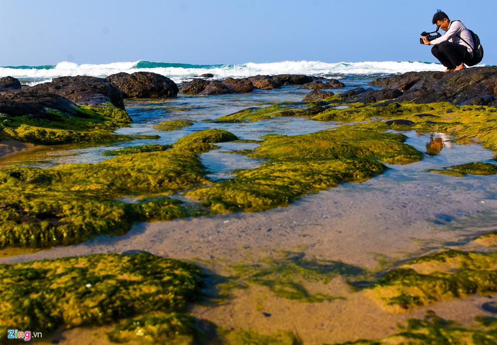Bãi đá trầm tích núi lửa phủ kín rêu xanh trải dọc ven bãi biển Lệ Thủy (xã Bình Trị, huyện Bình Sơn) thu hút nhiều "tay máy" về đây ghi lại khoảnh khắc tuyệt đẹp đầu xuân. 