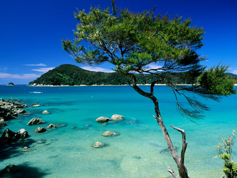 Những bãi biển hoang sơ, những núi đá kỳ thú, làn nước xanh ngọc là những nét thu hút hơn 150.000 du khách mỗi năm đến với công viên quốc gia Abel Tasman. Đây là công viên quốc gia nhỏ nhất của New Zealand, với diện tích 22.530 ha, bao gồm Đường mòn Bờ biển Abel Tasman nổi tiếng - Ảnh: Matthieu Colin