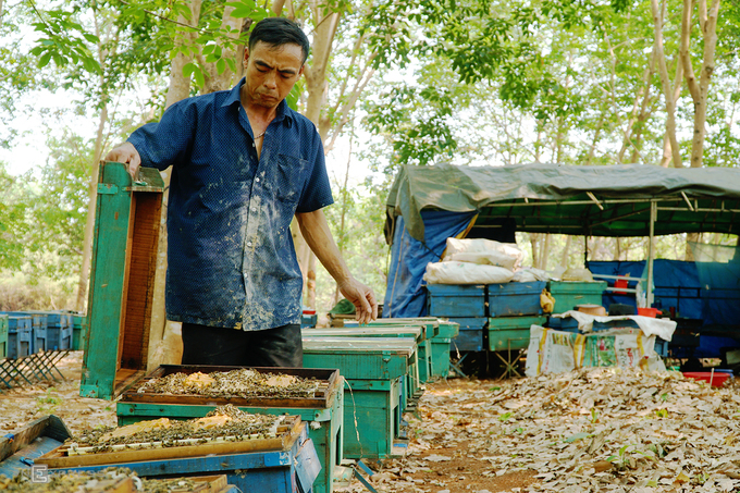 Ông Giang hiện 46 tuổi. Cách đây hơn 9 năm, ông bắt đầu nghề nuôi ong tại một nông trường cao su ở Ia Krai, huyện Ia Grai. Theo ông, cuộc sống của người làm nghề nuôi ong không khác gì "những kẻ du mục". "Cứ dăm ba tháng, tôi hay những người nuôi ong lại phải 'dời nhà' một lần. Hoa ở đâu thì chúng tôi phải mang ong đến ở chỗ đấy để ong dễ dàng lấy mật.", ông nói. Lán, nơi chủ trại ở, được dựng lên sát các thùng nuôi.