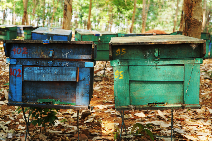 Những chiếc thùng được sơn để bền hơn. Thường các tủ được người dân đặt ở nơi khuất gió để đàn ong không bị ảnh hưởng.