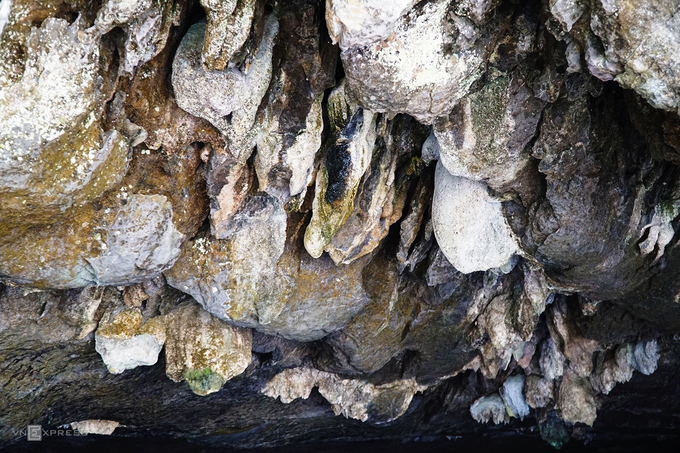 Hang Bụt được xếp hạng là một trong những động nước tự nhiên đẹp của Việt Nam. Với vé tham quan là 20.000 đồng mỗi lượt, du khách sẽ được đi đò dọc theo chiều dài gần 500 m của động, tự cầm đèn pin soi rọi từng hốc đá, thạch nhũ. Hang thu hút du khách bởi một khối đá thạch nổi lên có hình dạng giống ông bụt và những thạch nhũ tự nhiên nhiều hình dạng phát sáng lấp lánh. Đèn pin được người lái đò trang bị sẵn.