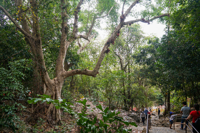 Dẫn lên chùa là con đường 1.500 bậc, đi vòng quanh những tảng đá, cây rừng um tùm hai bên. Từ chân núi mất hơn một giờ để lên đến chùa nằm ở độ cao hơn 200 m.