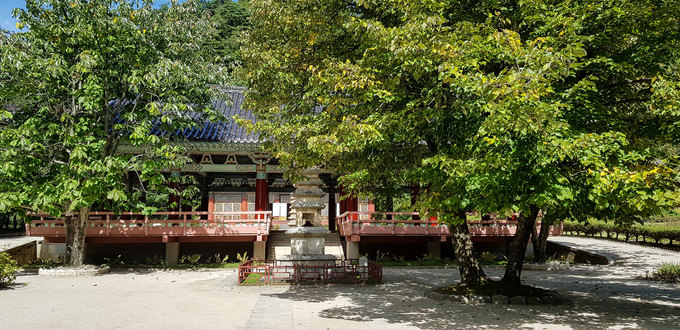 Hiện có khoảng 20 nhà sư đang tu tập tại chùa. Đường vào khuôn viên quanh năm phủ bóng mát bởi hàng thông lâu năm.