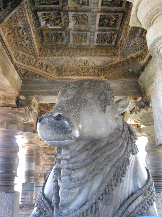 Tượng thần bò ở ngôi đền nhỏ hơn trong quần thể kiến trúc. Hai tác phẩm này có kích thước lớn thứ 6 và thứ 7 trong số các tượng đá nguyên khối ở Ấn Độ và đứng đầu bảng về vẻ đẹp, độ tinh xảo và độ bóng. Ảnh: Yves BENOIT.