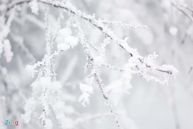 Nhiệt độ xuống thấp, tuyết rơi phủ trắng xóa khiến Nga Mi trở nên đẹp kỳ ảo. Từ nóc những ngôi nhà xung quanh, cây cối cho đến bậc cầu thang, lan can đều duy nhất một màu trắng. Các cành cây, ngọn cây đều được bao phủ bởi lớp tuyết dày, giống những bông “hoa tuyết”.