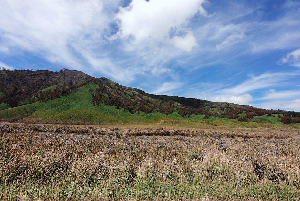 Địa điểm tiếp theo sau Bromo chính là Teletubbies Hill. Đây là một cao nguyên rộng lớn với những hàng cỏ xanh rì nằm đằng sau núi Bromo - Ảnh: NGÔ HOÀNG ANH