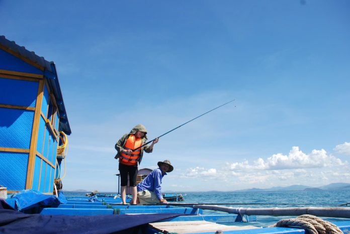 Trãi nghiệm câu cá trên biển cùng với ngư dân