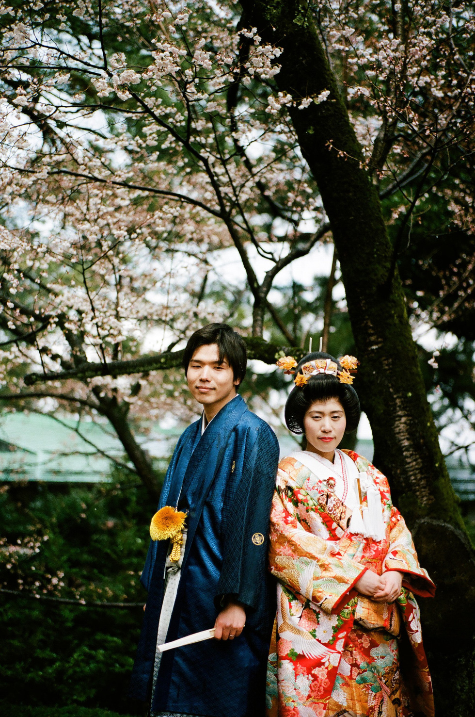 Một đôi bạn trẻ người Nhật chụp hình cưới với trang phục truyền thống trong vườn Kenrokuen ở Kanazawa. Đây là một trong ba khu vườn đẹp nhất ở Nhật - Ảnh: ĐĂNG TRÌNH
