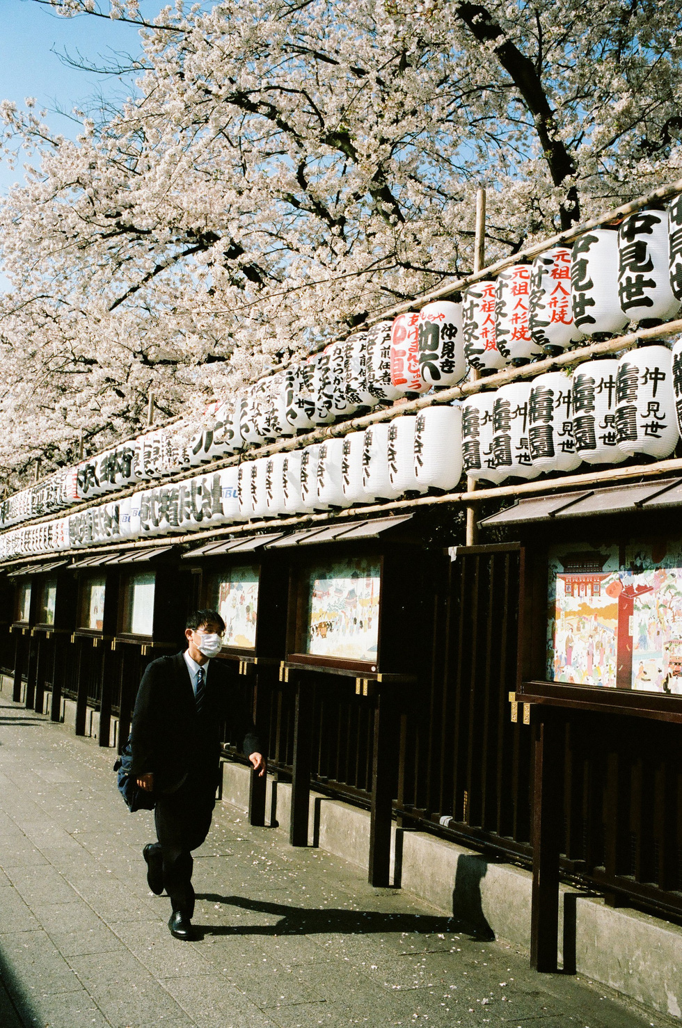 Một góc khuôn viên đầy hoa chùa Sensoji, Tokyo - Ảnh: ĐĂNG TRÌNH