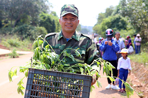 Người dân và lực lượng quân sự hưởng ứng trồng cây dã quỳ hai bên đường Hồ Chí Minh. Ảnh: Quang Hà.