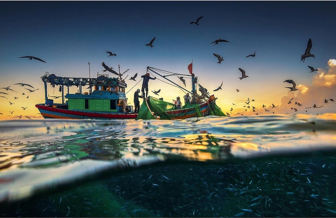 Ngày hy họng" chụp quang cảnh ngư dân đánh bắt cá cơm ngần của nhiếp ảnh gia Trần Bảo Hòa tại vùng biển Bình Định - Phú Yên. Luồng cá thân trắng muốt có thể nhìn rõ dưới làn nước biển, trên trời là đàn chim hải âu.