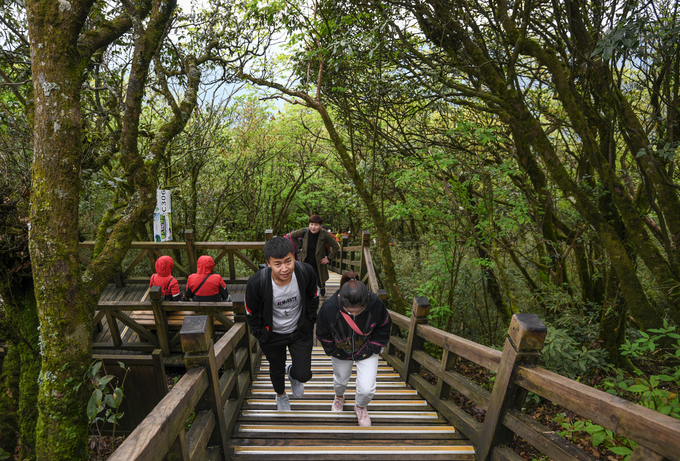 Để đến các điểm tham quan trên núi, du khách phải leo lên các bậc thang bằng gỗ trong khoảng 30 phút. Đoạn đường này lắp đặt sẵn nhiều ghế băng để khách ngồi nghỉ.