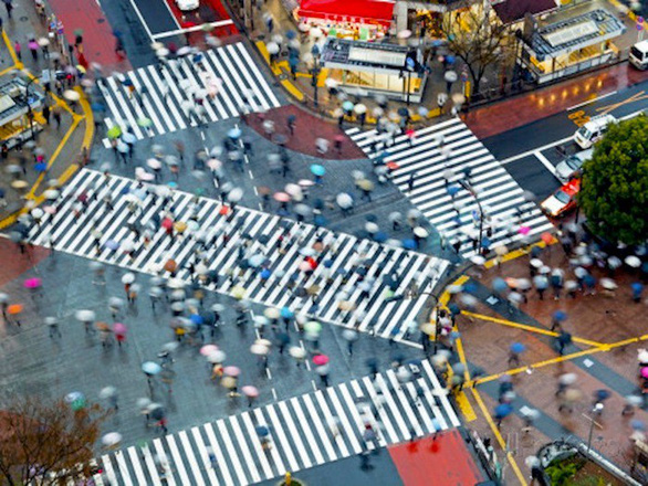 Giao lộ Shibuya nổi tiếng - Ảnh: Flickr