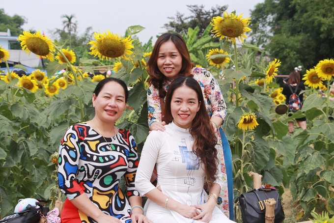 Ngoài các bạn trẻ, nhiều phụ nữ Huế cũng diện áo dài đến vườn hoa hướng dương tạo dáng chụp ảnh làm kỷ niệm.
