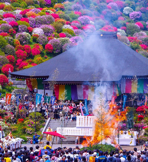 Lễ hội hoa đỗ quyên tại đền thường được diễn ra vào đầu mùa hè, thu hút hàng nghìn du khách tới tham gia. Năm nay lễ hội hoa đỗ quyên tổ chức từ ngày 8/4 đến 12/5. Ảnh: Tadahisa Hagiwara.