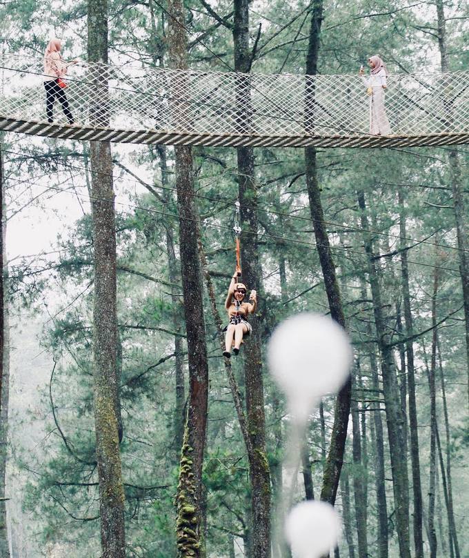 Các hoạt động ngoài trời như đu zipline xuyên rừng dành cho cả người lớn lẫn trẻ em, trang bị bảo hộ đầy đủ, hợp với người ưa mạo hiểm.