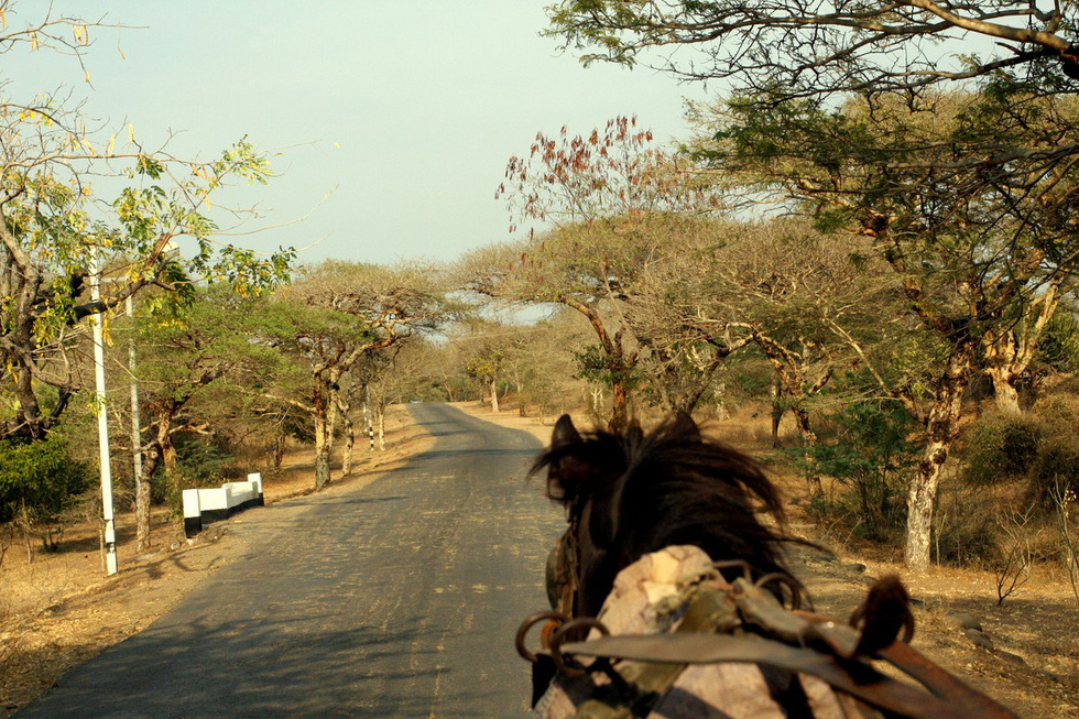 Xe ngựa là phương tiện quen thuộc ở Bagan