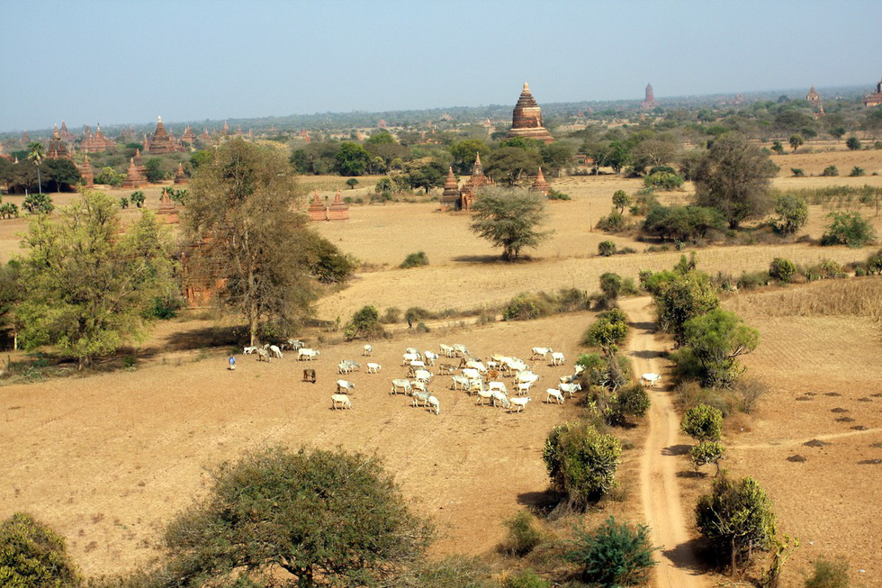Đền Ananda Phaya với ngọn tháp chính được mạ vàng có thể được nhìn thấy từ cách đó rất xa