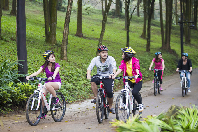 Du khách cũng có thể đạp xe để khám phá khu rừng qua một số tuyến đường đã trải bê-tông.