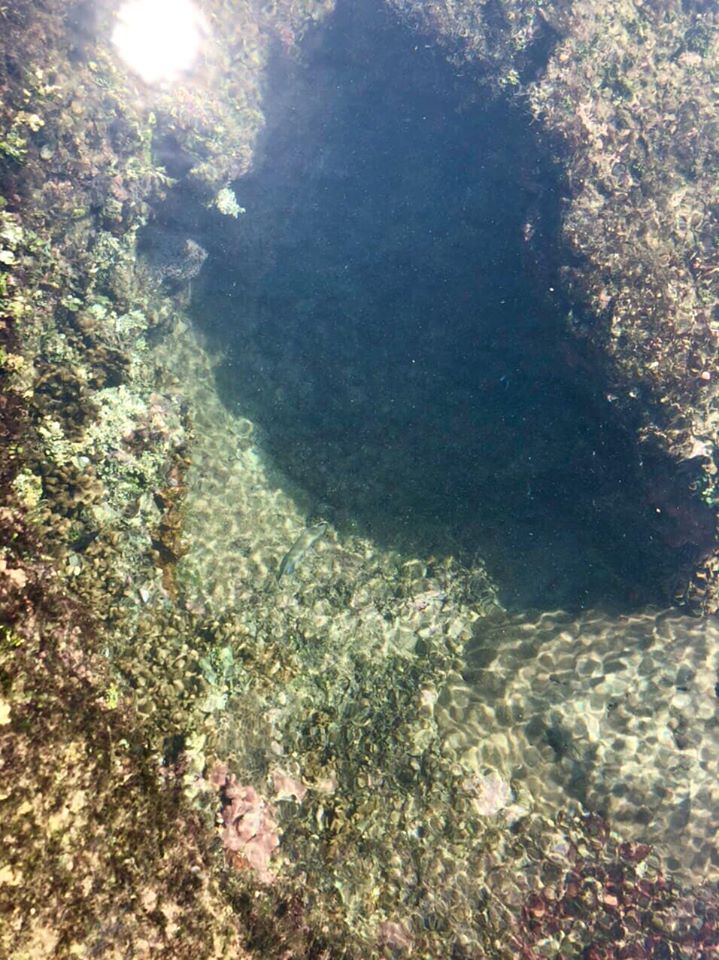 Dưới hang Rái thi thoảng có mấy hố nước như này, nước cực trong thấy cả cá cả san hô luôn nhé. Mn xuống đây phải cực cẩn thận vì trơn lắm đó 
