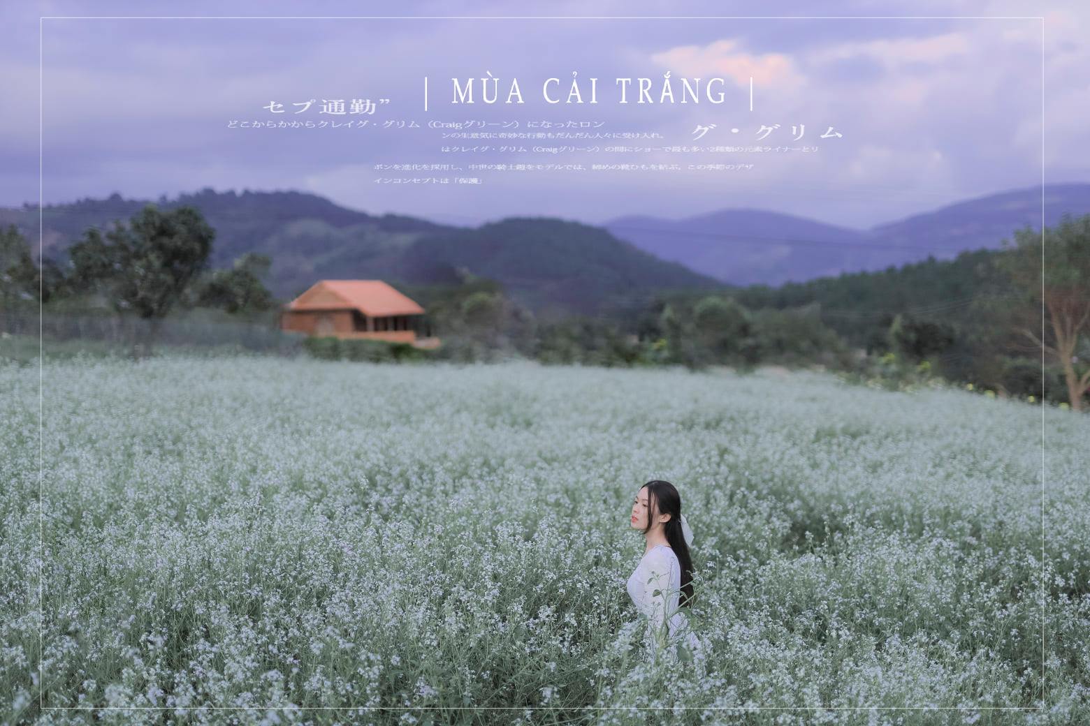 Mùa hoa cải trắng Đà Lạt, về xã Tu Tra, Tà Nung chụp bộ ảnh đẹp siêu thực