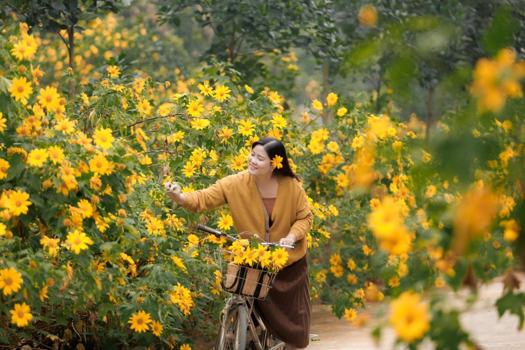 Du lịch Thung Nham, Ninh Bình tháng 12 rộn ràng hoa nở - Du Lịch Chất